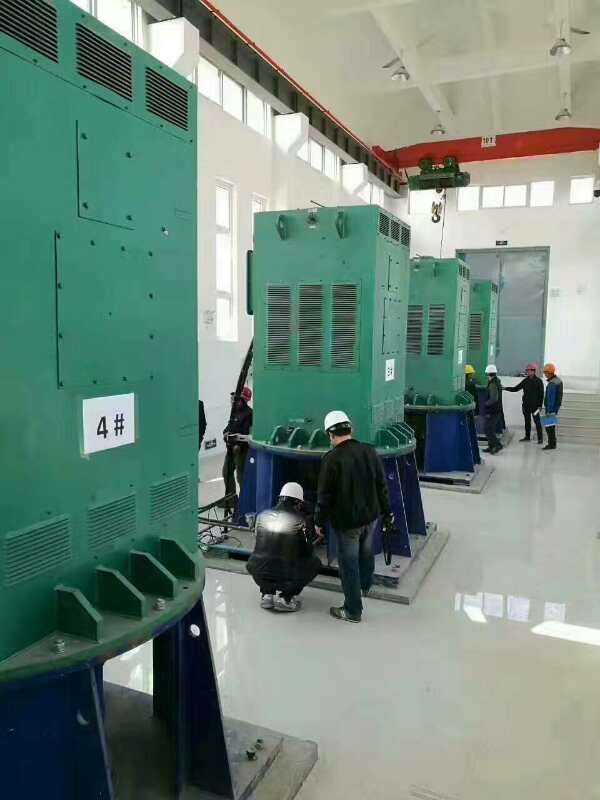 安庆某污水处理厂使用我厂的立式高压电机安装现场