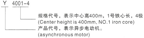 西安泰富西玛Y系列(H355-1000)高压安庆三相异步电机型号说明
